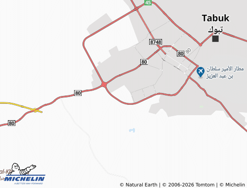 Kaart MICHELIN al-'Ayn - ViaMichelin