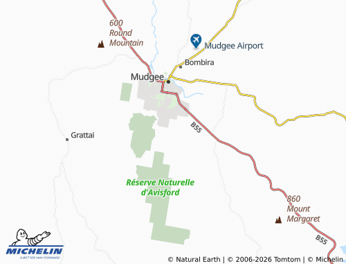 MICHELIN Spring Flat map - ViaMichelin