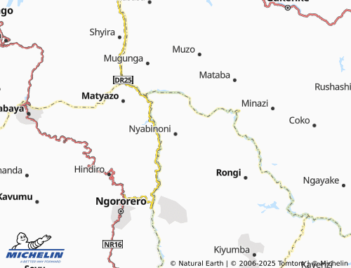 MICHELIN Nyabinoni map - ViaMichelin