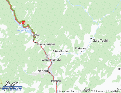 MICHELIN Vinețișu map - ViaMichelin