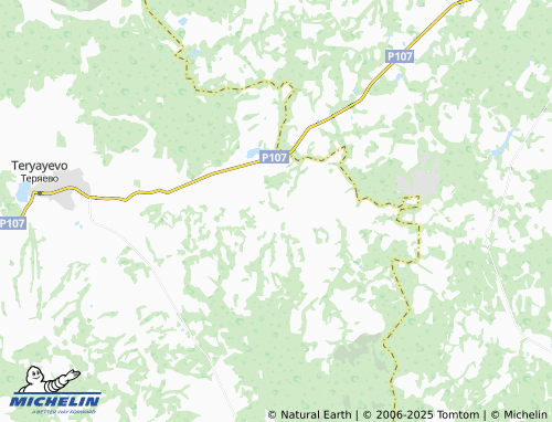 MICHELIN Shestakovo map - ViaMichelin