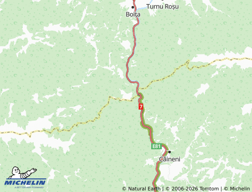 Mapa MICHELIN Paltin - ViaMichelin