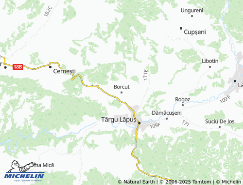 MICHELIN-Landkarte Borcut - ViaMichelin