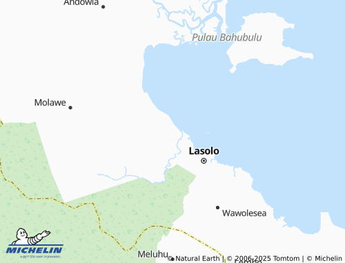MICHELIN Larodangge map - ViaMichelin