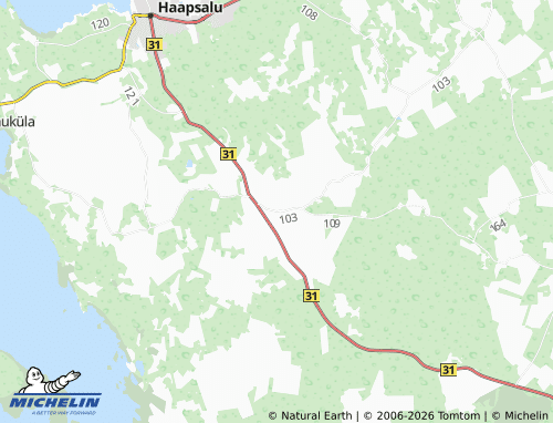 Mapa MICHELIN Liivaküla - ViaMichelin