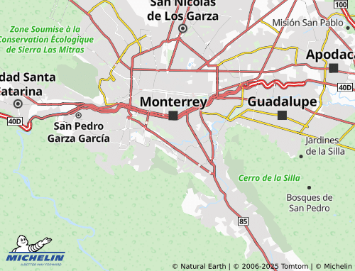 MICHELIN Arturo B. de La Garza map - ViaMichelin