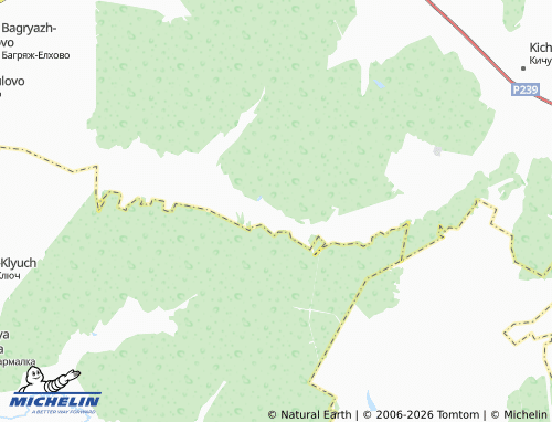 MICHELIN-Landkarte Bagryazh - ViaMichelin