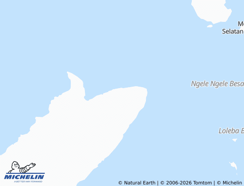 MICHELIN Igo map - ViaMichelin