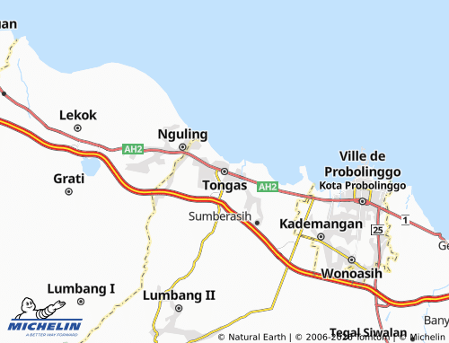 MICHELIN Tongas map - ViaMichelin