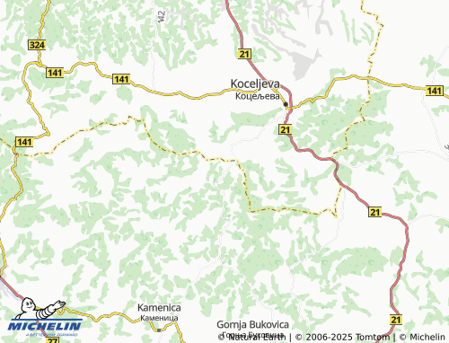 Mapa MICHELIN Vlaščić - ViaMichelin