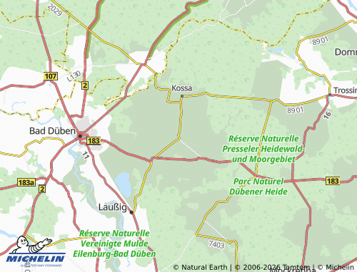 Mappa MICHELIN Authausen - ViaMichelin