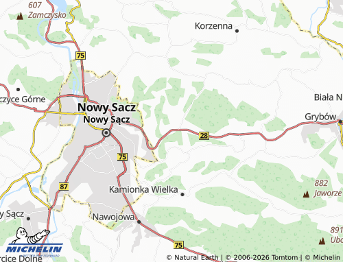 MICHELIN Paszyn map - ViaMichelin