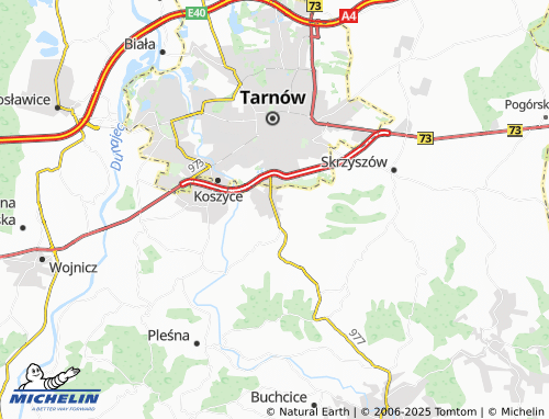 MICHELIN Tarnowiec map - ViaMichelin