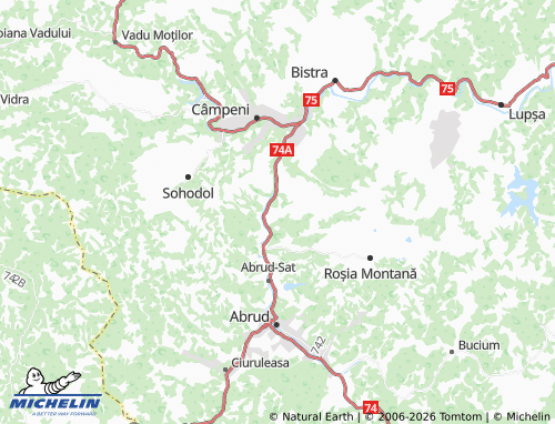 MICHELIN Cărpiniș map - ViaMichelin