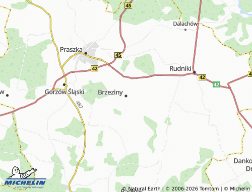 MICHELIN-Landkarte Brzeziny - ViaMichelin