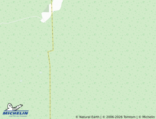Mappa MICHELIN Veracruz - ViaMichelin