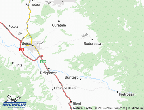Carte MICHELIN Săliște De Beiuș - ViaMichelin