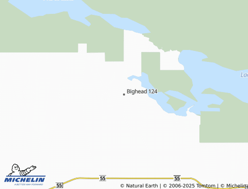 MICHELIN Bighead 124 map - ViaMichelin