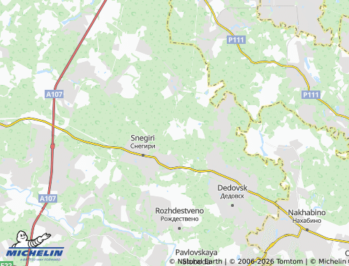 Carte MICHELIN Snegiri 2 Selivanikha - ViaMichelin