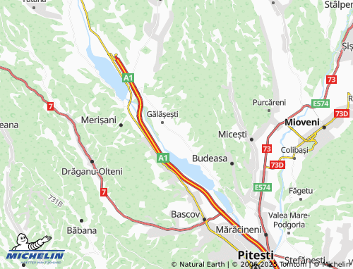 MICHELIN Rogojina map - ViaMichelin