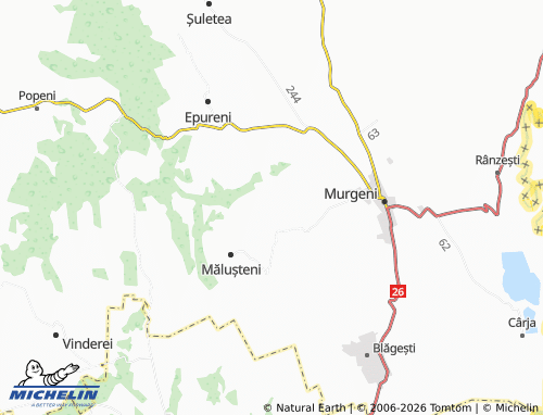 Mappa MICHELIN Schineni - ViaMichelin