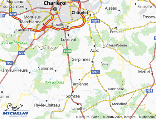 Kaart MICHELIN Les Flaches - ViaMichelin