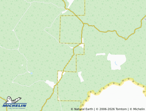 Mappa MICHELIN Nuevo Veracruz - ViaMichelin