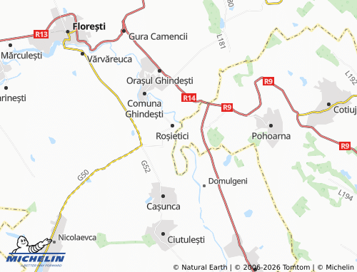 Mapa MICHELIN Rogojeni - ViaMichelin