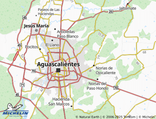 Mappa MICHELIN Rodolfo Landeros Gallegos - ViaMichelin