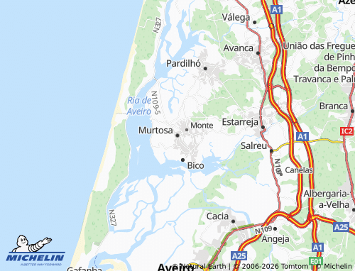 Mapa MICHELIN Murtosa - ViaMichelin