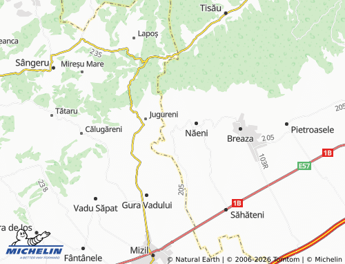 MICHELIN Fințești map - ViaMichelin