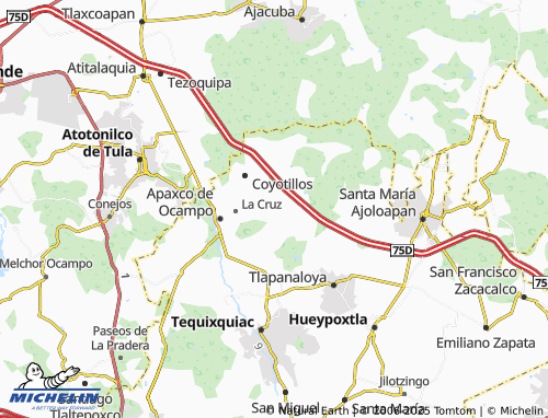MICHELIN Pérez de Galeana map - ViaMichelin