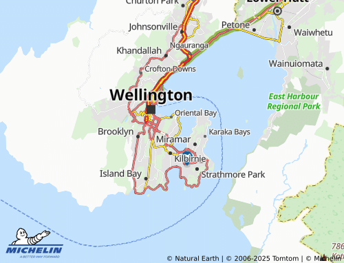 MICHELIN Hataitai map - ViaMichelin