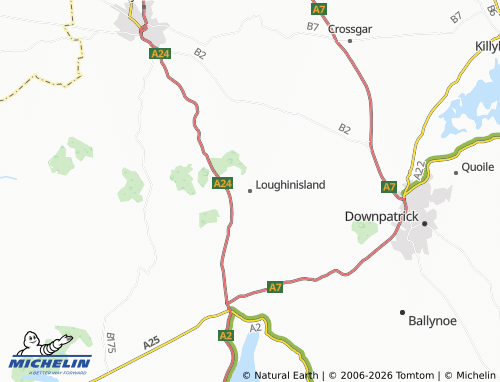 MICHELIN Loughinisland map - ViaMichelin