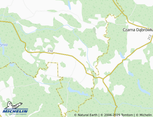 Carte MICHELIN Budowo - ViaMichelin