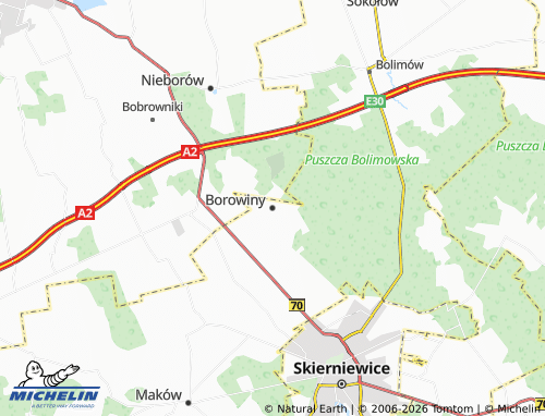 MICHELIN Borowiny map - ViaMichelin