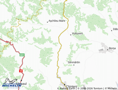Mappa MICHELIN Băbuțiu - ViaMichelin