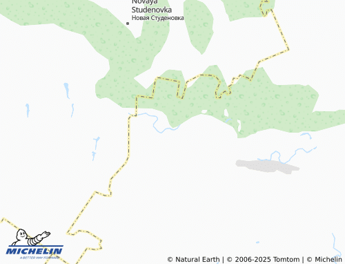MICHELIN Borovaya Polyanshchina map - ViaMichelin