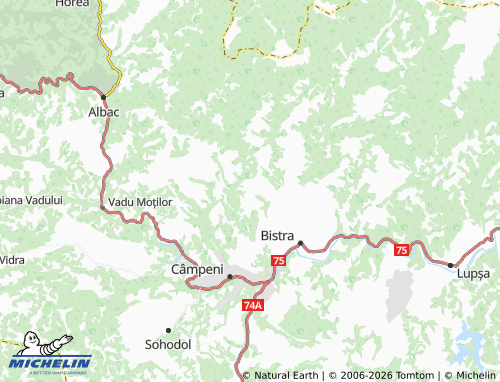 Mappa MICHELIN Dealu Capsei - ViaMichelin