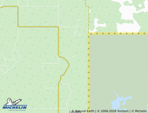 Mappa MICHELIN Arroyo el Triunfo Primera Sección - ViaMichelin