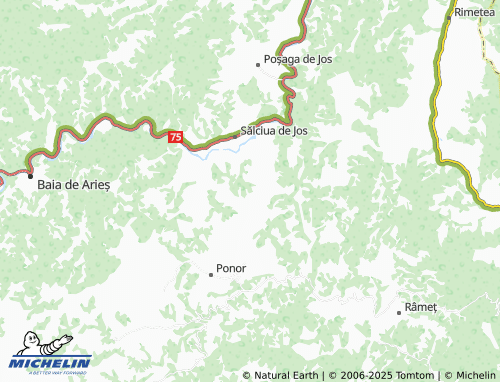 MICHELIN Dumești map - ViaMichelin
