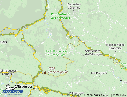 MICHELIN-Landkarte Les Salidès - ViaMichelin