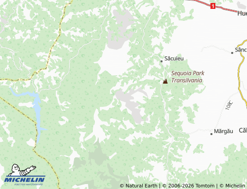 Mappa MICHELIN Rogojel - ViaMichelin