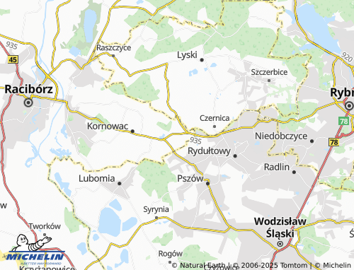 MICHELIN Rzuchów map - ViaMichelin