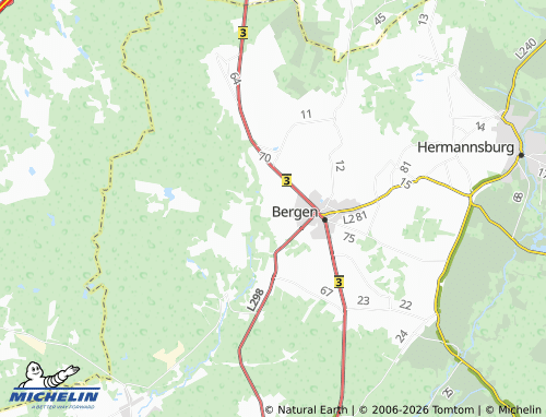 MICHELIN Hasselhorst map - ViaMichelin