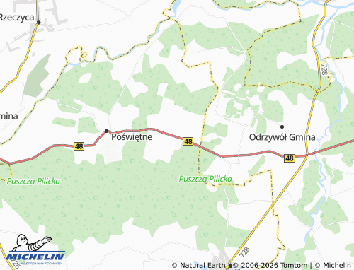 Carte MICHELIN Brudzewice - ViaMichelin