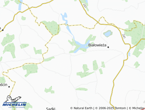 MICHELIN Witosław map - ViaMichelin