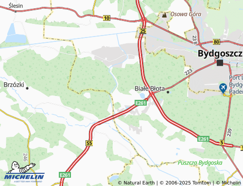 MICHELIN Murowaniec map - ViaMichelin