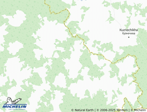 MICHELIN Nizhneye Korovino map - ViaMichelin