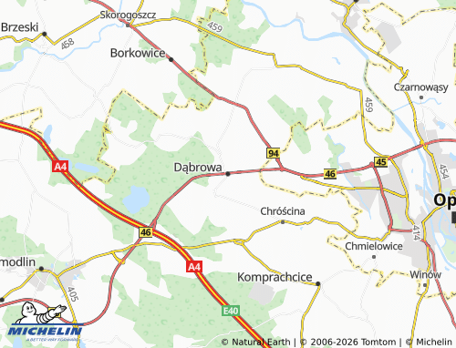 Carte MICHELIN Dąbrowa - ViaMichelin